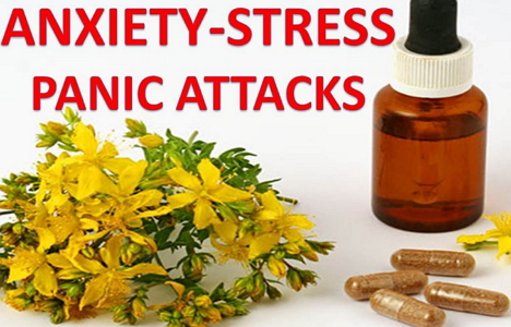 Picture of Herbs For Anxiety: Natural Herbs To Treat Severe, Chronic Anxiety At ...