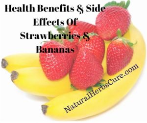 what is the best keto acv gummy
