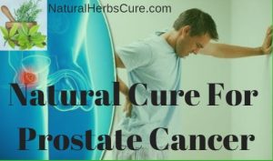 Image showcasing Natural Cure, Treatment For Prostate Cancer: How To Treat Prostate ...